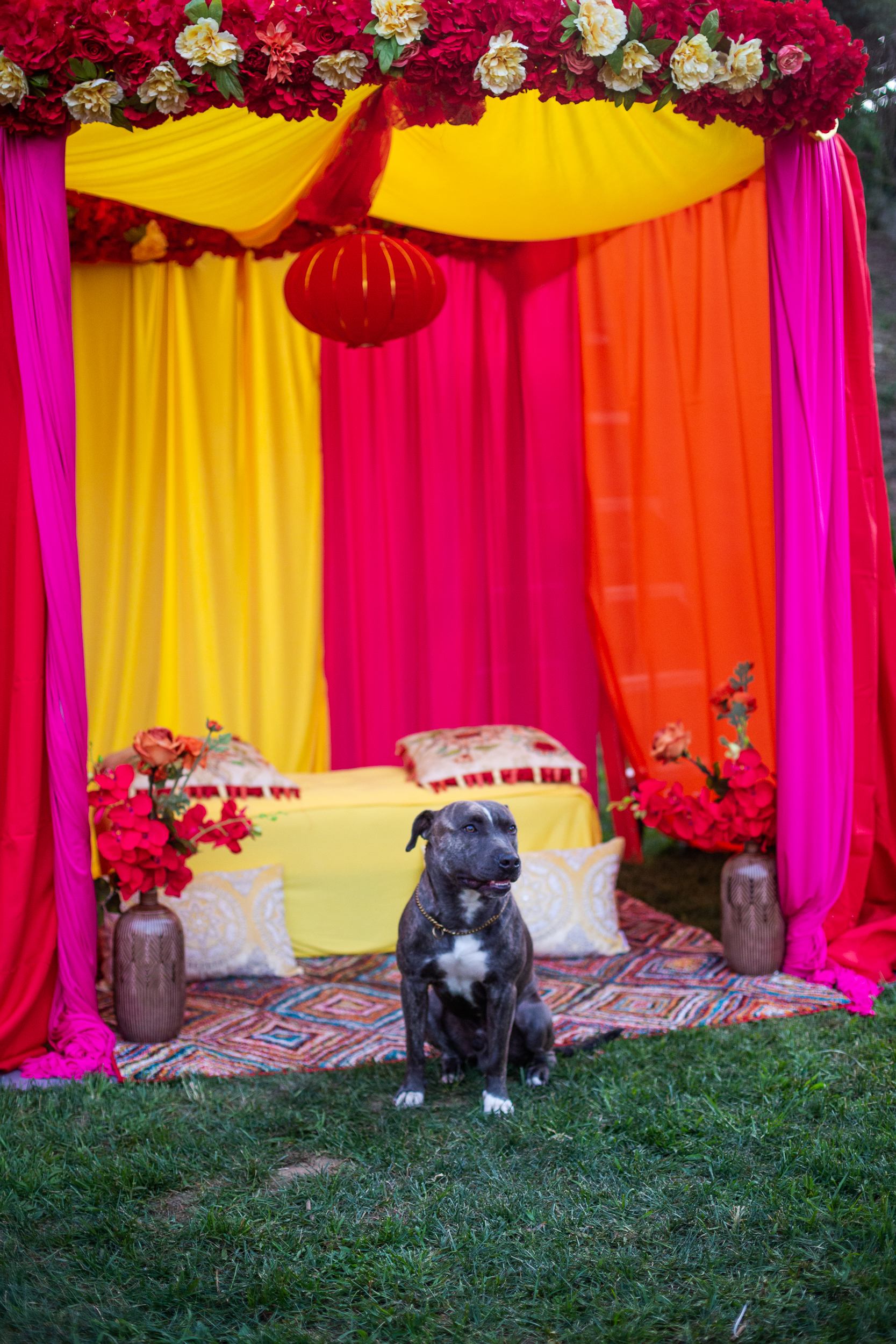 Sofia & Anthony — photo 6